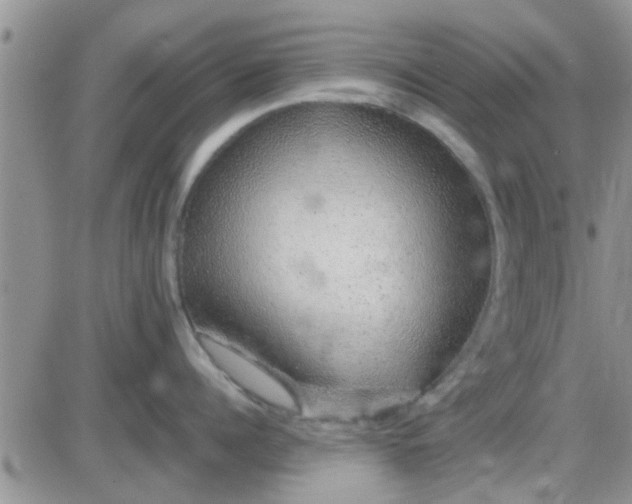 X0000085310960200703231920