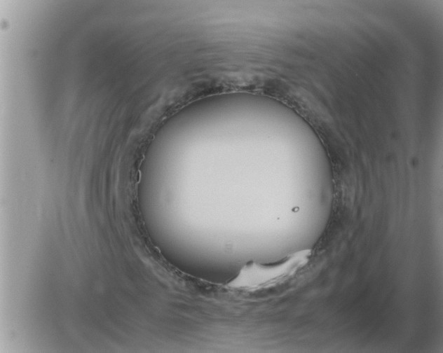 X0000085310961200703231919