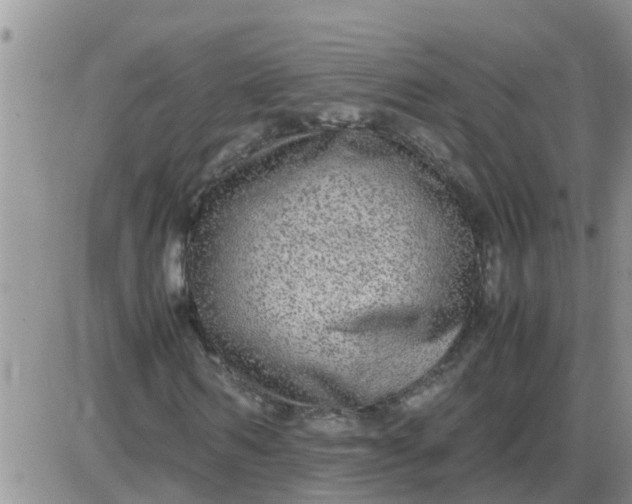 X0000085310962200703231919