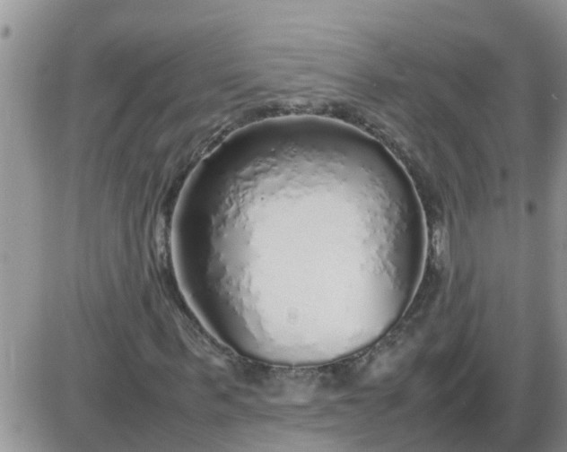 X0000085310963200703231919