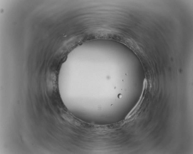 X0000085310964200703231919