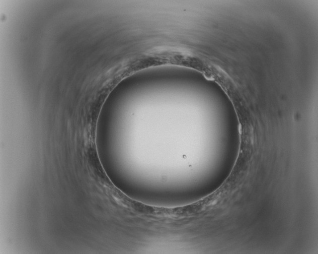 X0000085310965200703231919