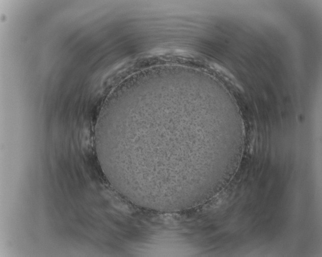 X0000085310966200703231919