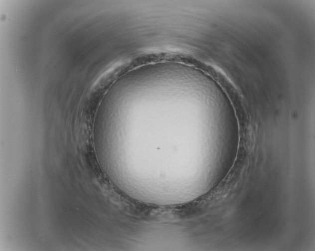 X0000085310967200703231919