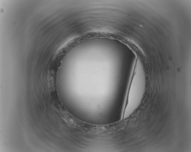 X0000085310968200703231919