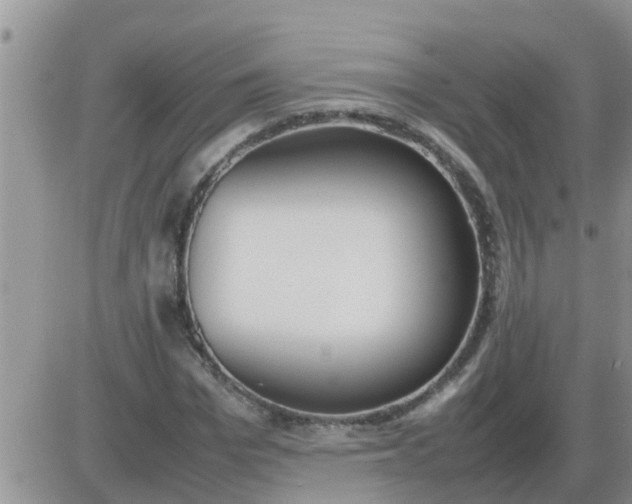 X0000085310969200703231919