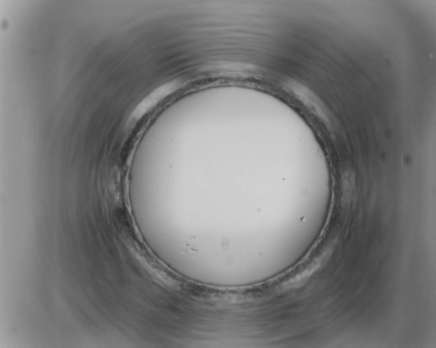 X0000085310970200703231919