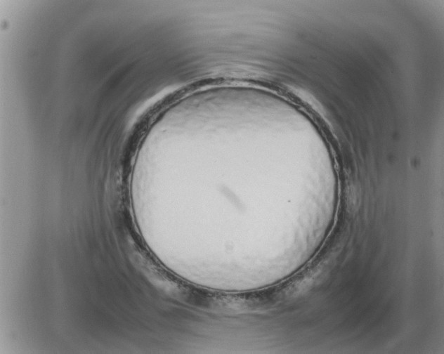 X0000085310971200703231919