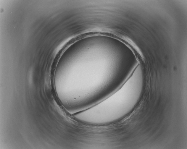 X0000085310972200703231919