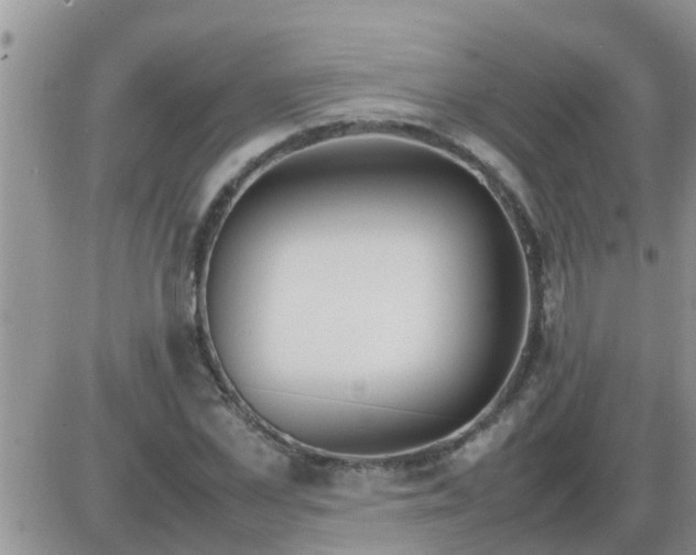 X0000085310973200703231919