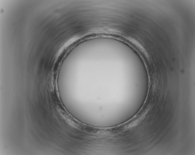 X0000085310974200703231919