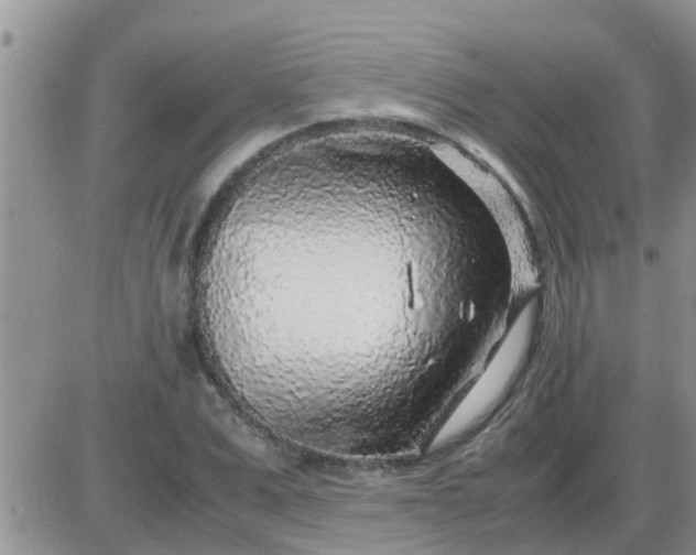 X0000085310975200703231919