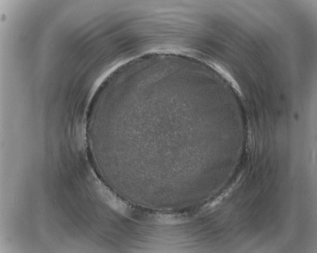 X0000085310976200703231919