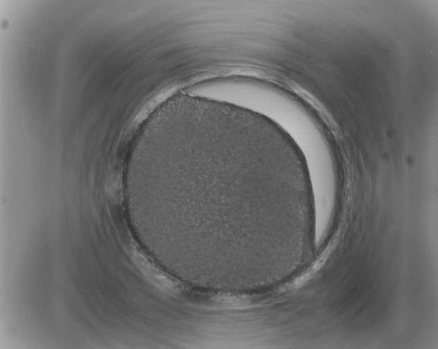 X0000085310977200703231919