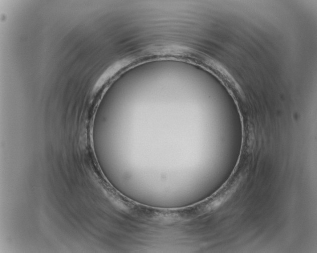 X0000085310978200703231919