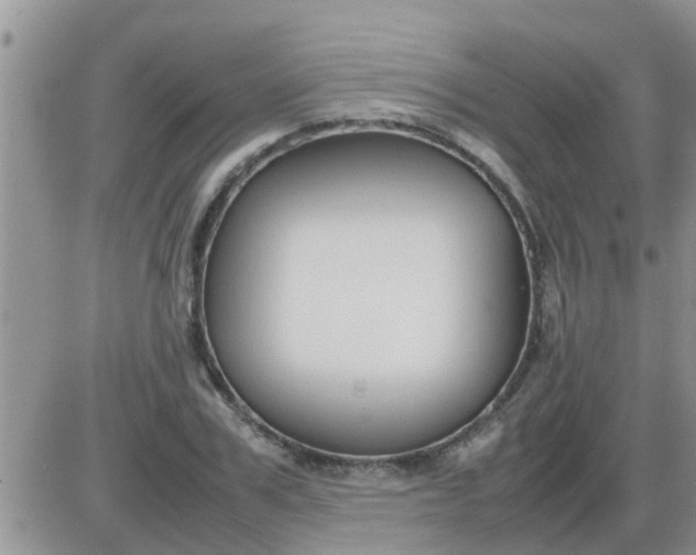 X0000085310979200703231919