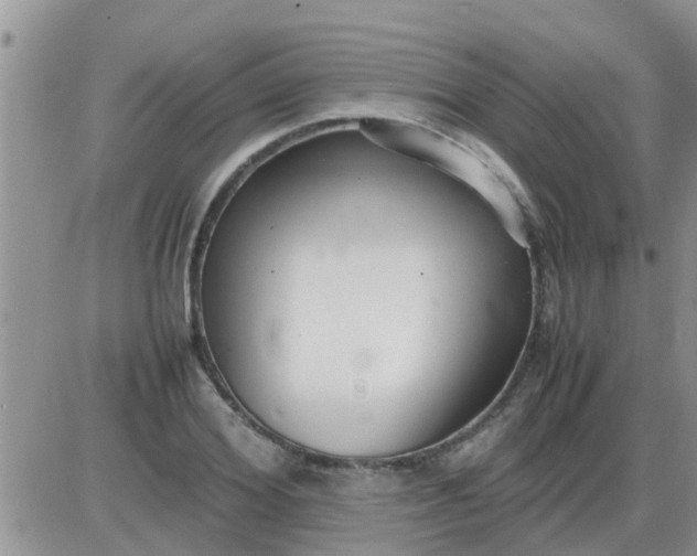 X0000085310980200703231919