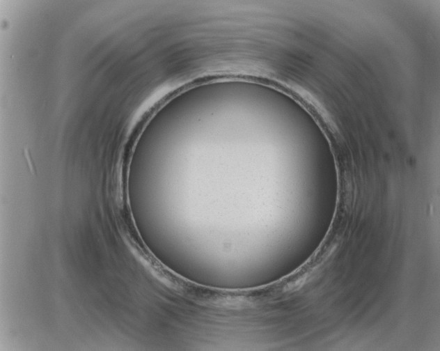 X0000085310982200703231919