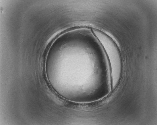 X0000085310983200703231919