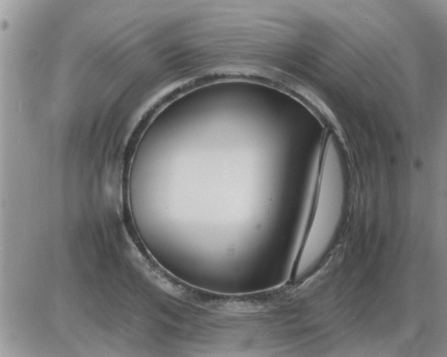 X0000085310984200703231919