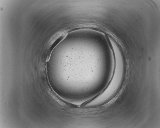 X0000085310985200703231919