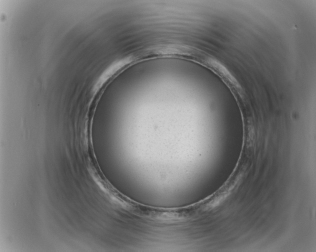 X0000085310986200703231919