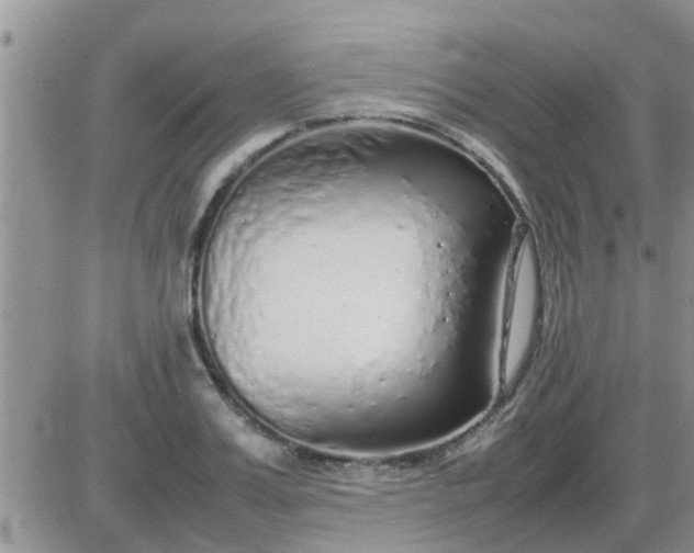 X0000085310987200703231919