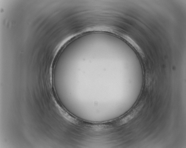 X0000085310988200703231919