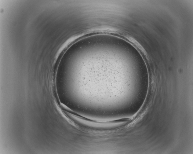 X0000085310989200703231919