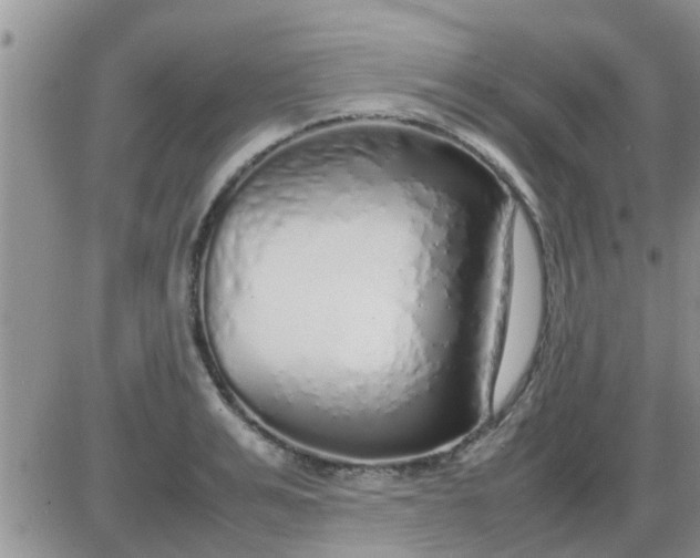 X0000085310991200703231919