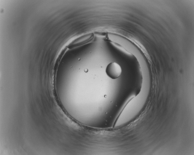 X0000085310992200703231919