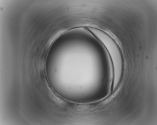 X0000085310993200703231919