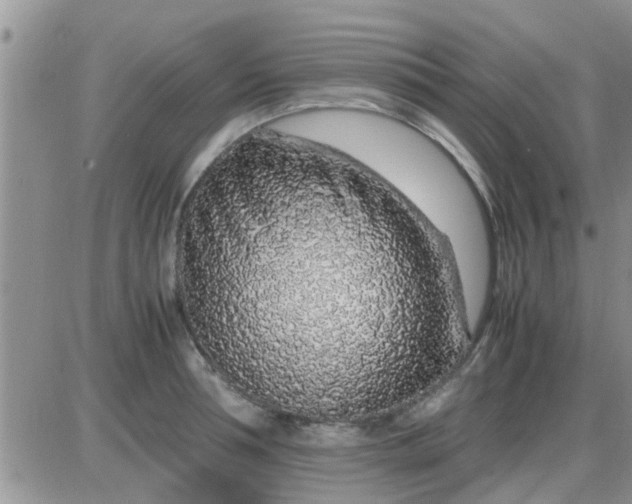 X0000085310994200703231919