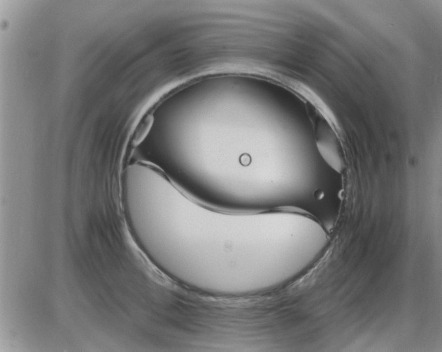 X0000085310996200703231919