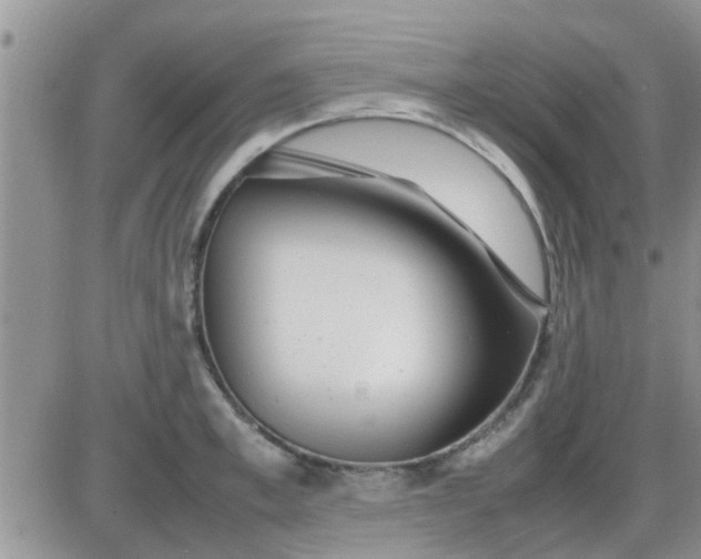 X0000085310997200703231919