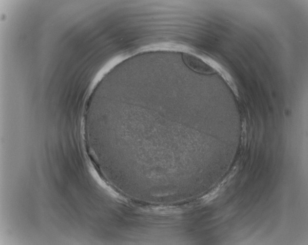 X0000085310998200703231919