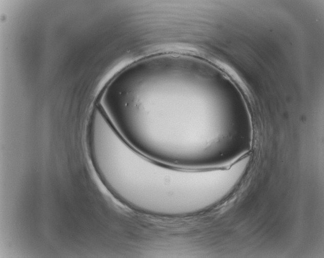 X0000085310999200703231919