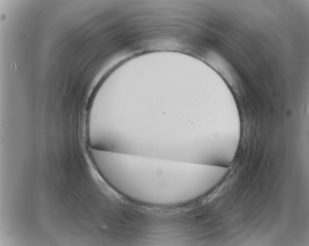 X0000085311000200703231919