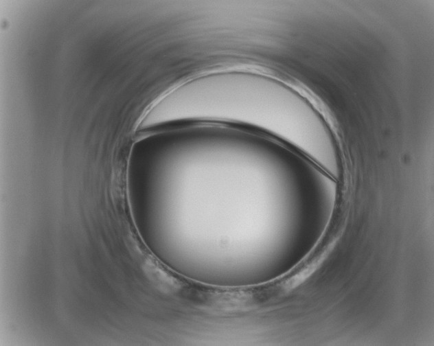 X0000085311001200703231919