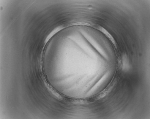 X0000085311002200703231919