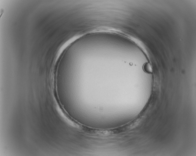 X0000085311003200703231919