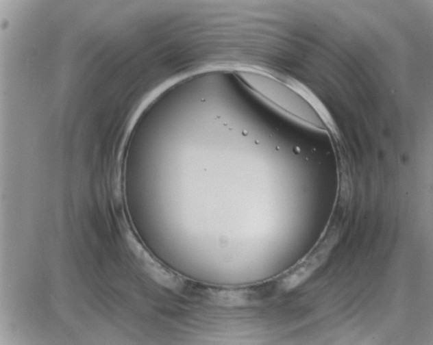 X0000085311004200703231919