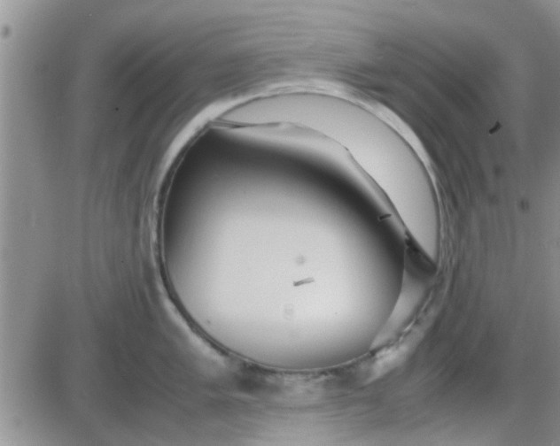 X0000085311005200703231919