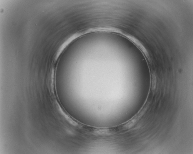 X0000085311006200703231919