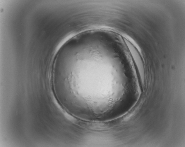 X0000085311007200703231919