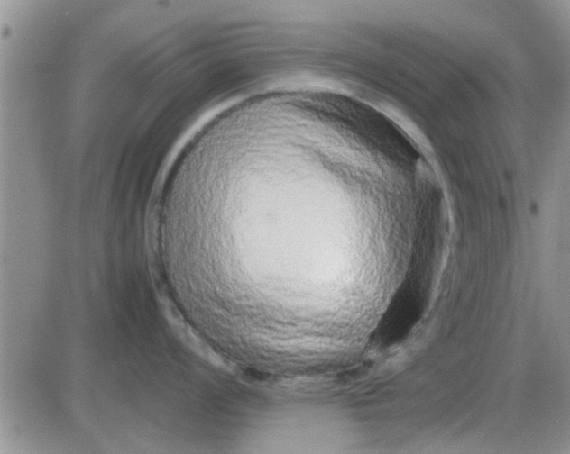 X0000085311008200703231919