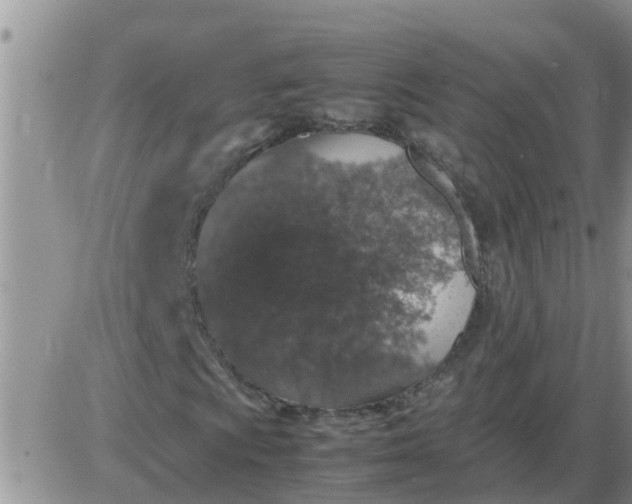 X0000085311009200703231918