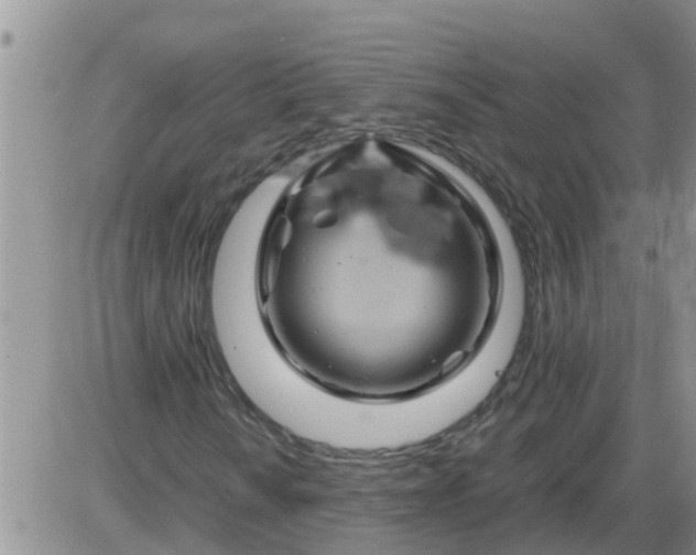 X0000085311010200703231918