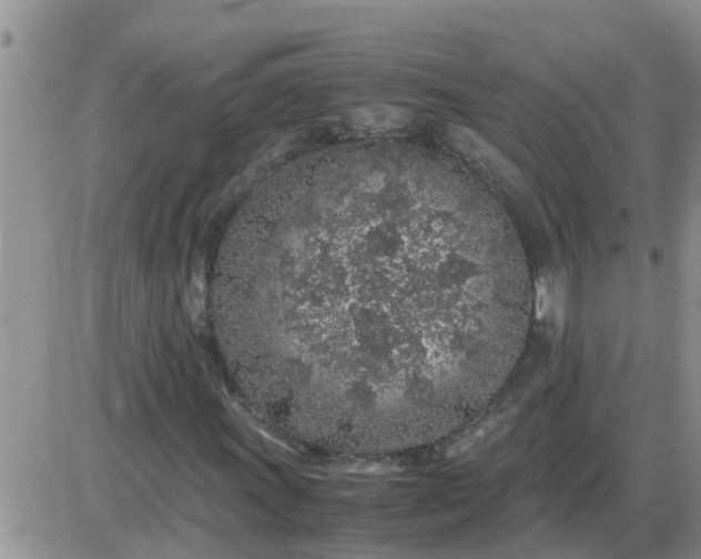 X0000085311011200703231918