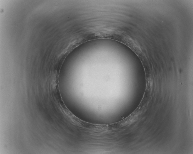 X0000085311012200703231918